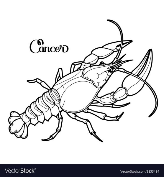 Рисунок краба легкий