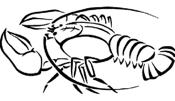 Лангуст рисунок