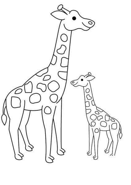 Срисовка жирафа