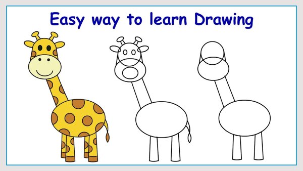 Рисунки жирафа для детей в цвете