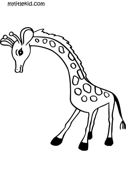 Раскраска Жираф милый