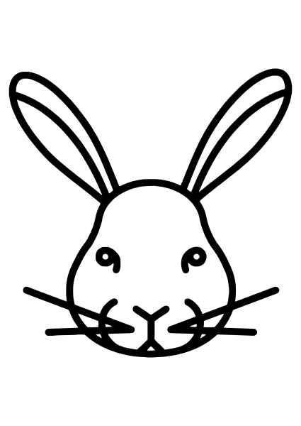 Морда зайца