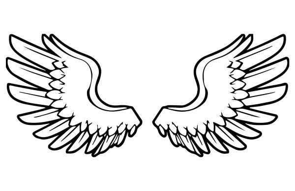 Крылья контур