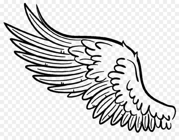 Крылья раскраска