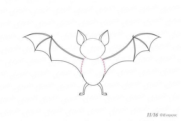 Летучая мышь рисунок карандашом для срисовки