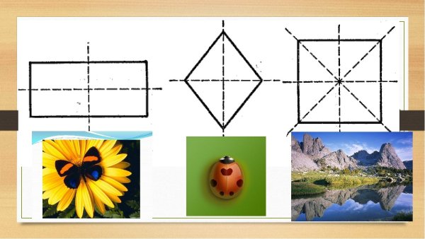 Симметричные фигуры в природе