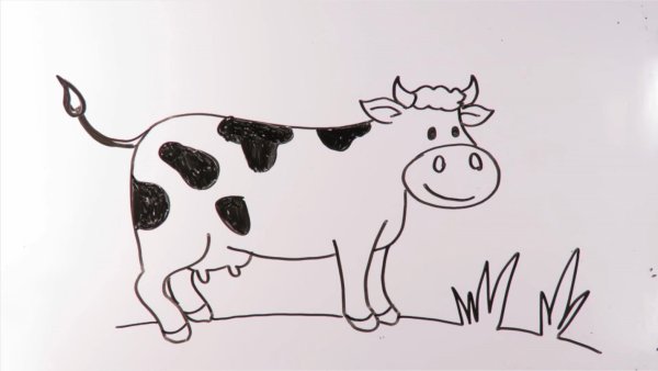 Рисунок коровы для срисовки