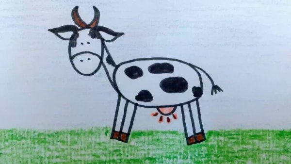 Корова спереди рисунок