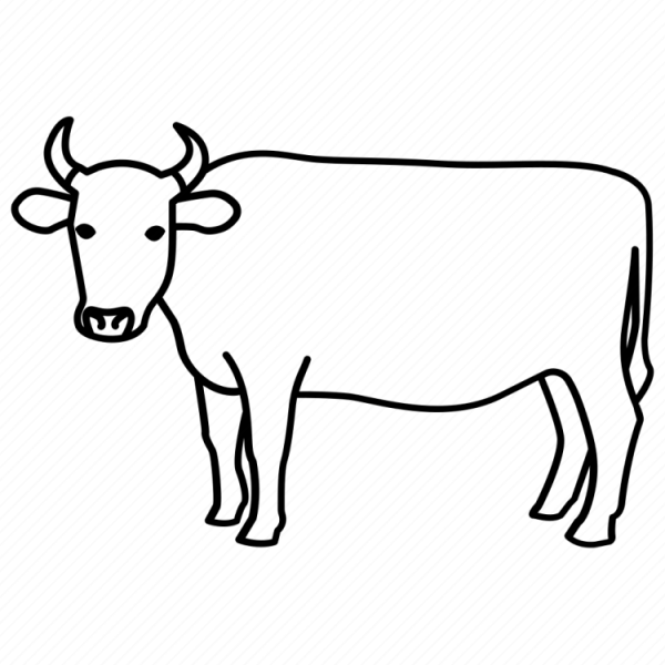 Рисование коровы для малышей