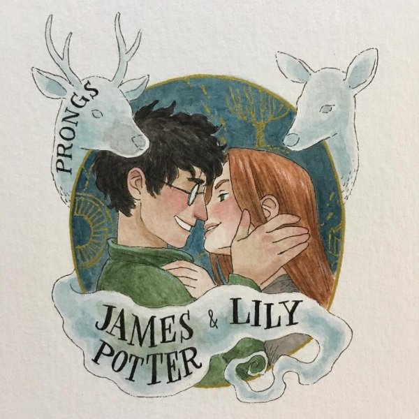 Гарри Джеймс Поттер иллюстрации