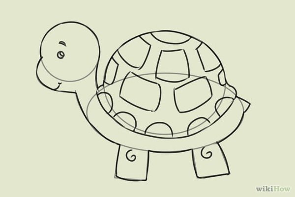 Черепаха рисунок легкий