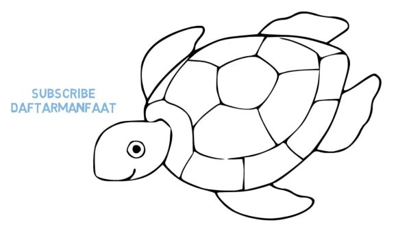 Черепаха для раскрашивания