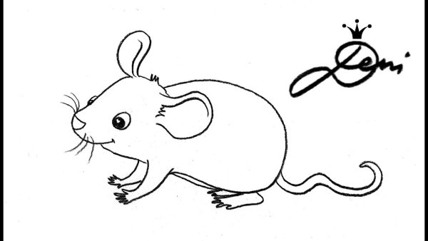 Чертеж мыши