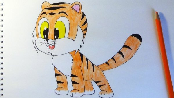 Как нарисовать тигренка поэтапно