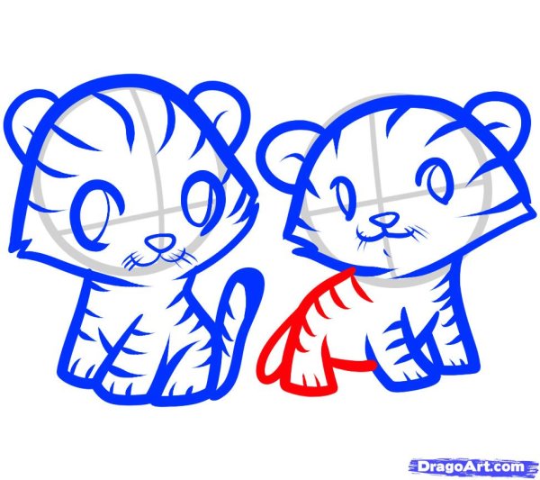 Тигр рисунок