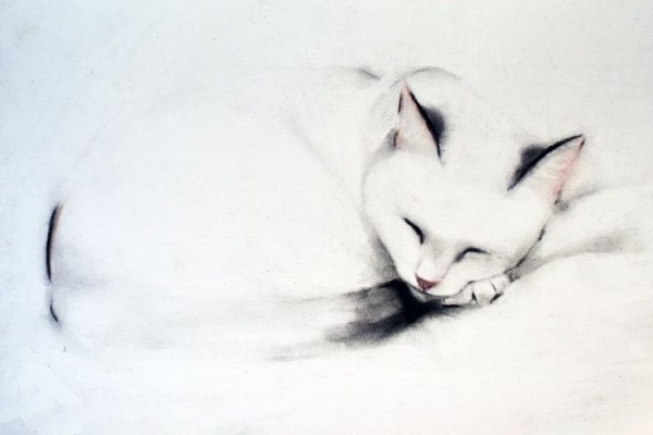 Художник Kellas Campbell