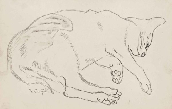 Набросок спящего кота