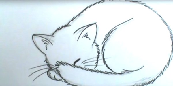 Спящий кот рисунок карандашом