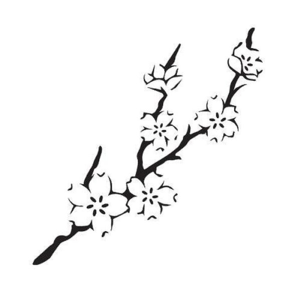 Ветка Сакуры эскиз