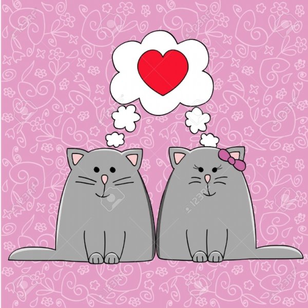 Рисунки котиков для срисовки