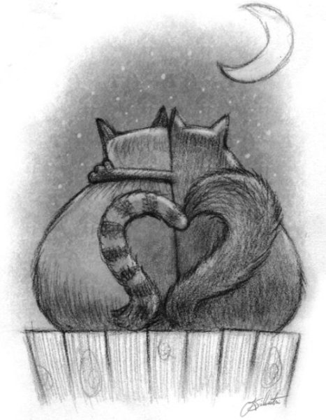 Котики любовь рисунок