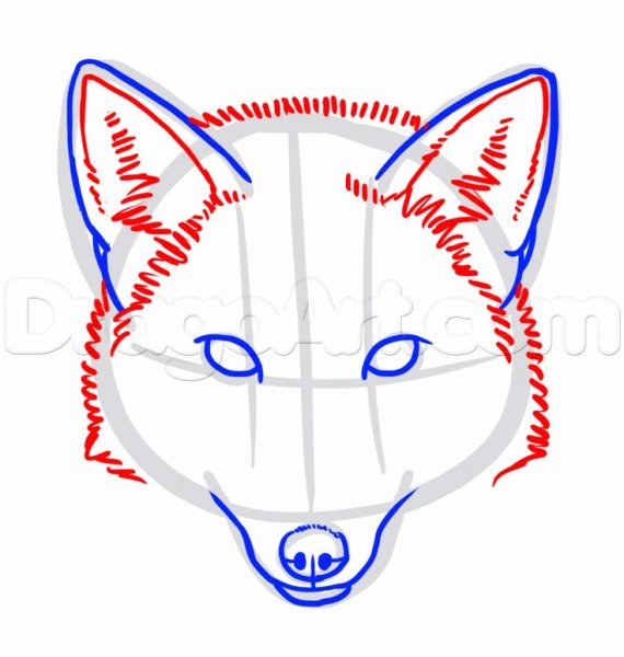 Поэтапное рисование морды лисы