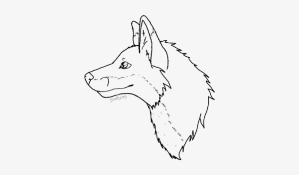 Голова волка сбоку