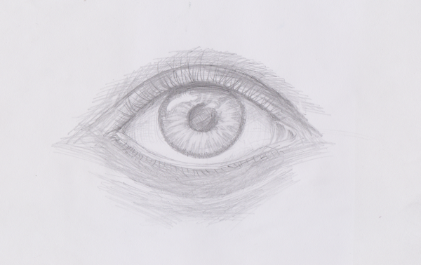 Схематичное изображение глаза