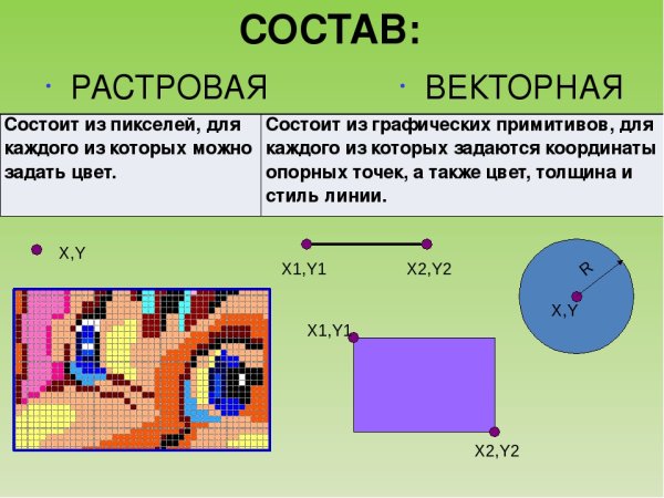 Примеры векторной графики