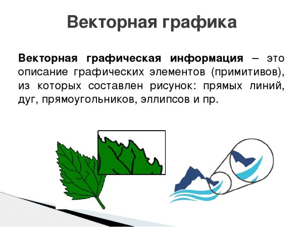 Растровое и векторное изображение