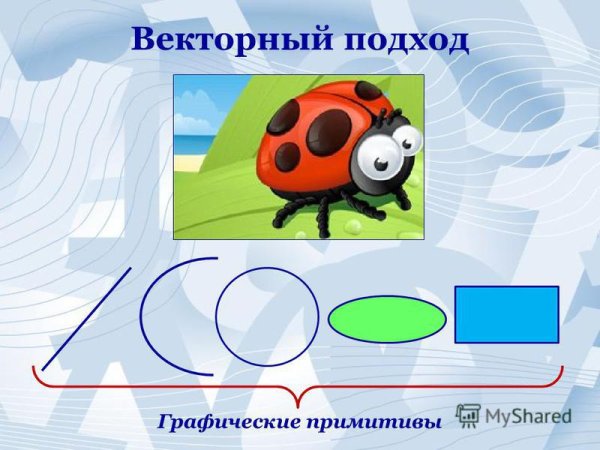 Векторной графики в информатике