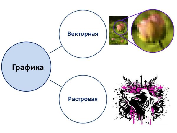 Отличие растровой и векторной графики примеры