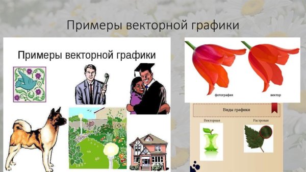 Векторная Графика свойства