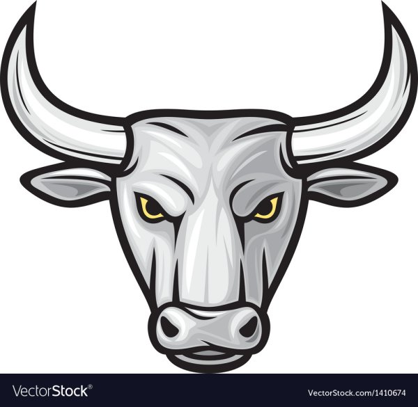 Голова быка рисунок