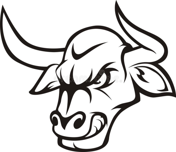 Контур морды быка