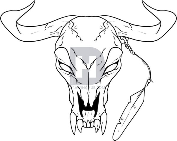 Рисунок быка для срисовки