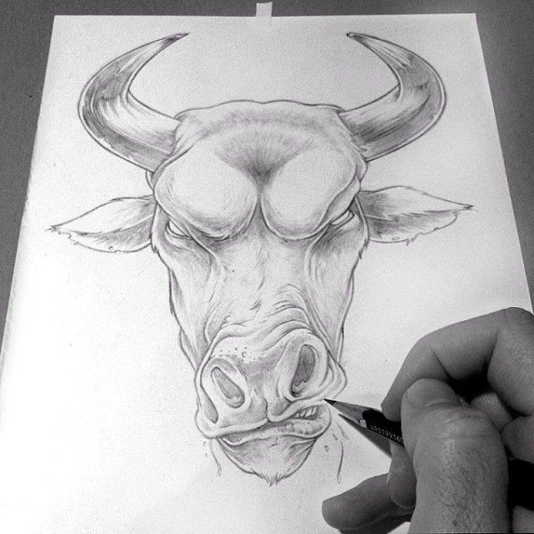 Бык карандашом