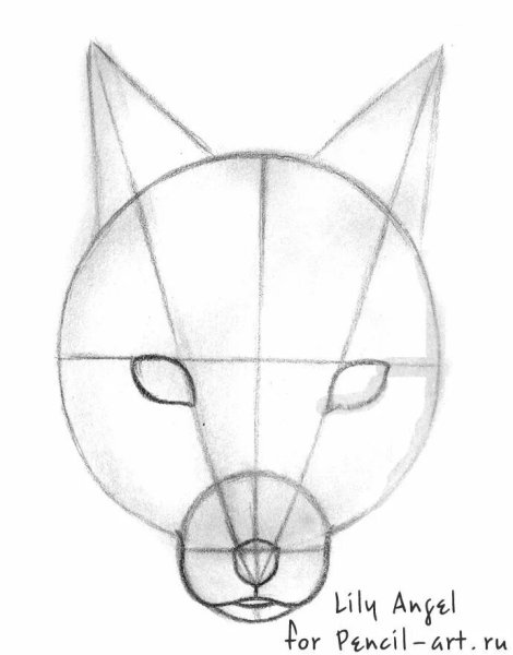 Рисование мордочка лисы