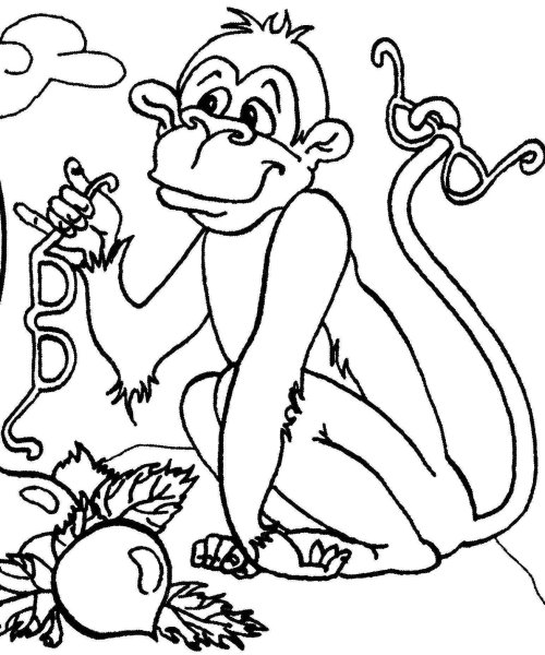 Иллюстрация к басне мартышка и очки