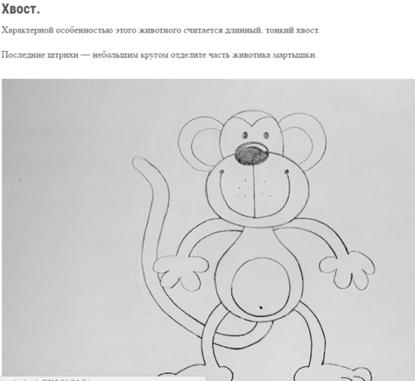 Мартышка и очки рисунок для детей