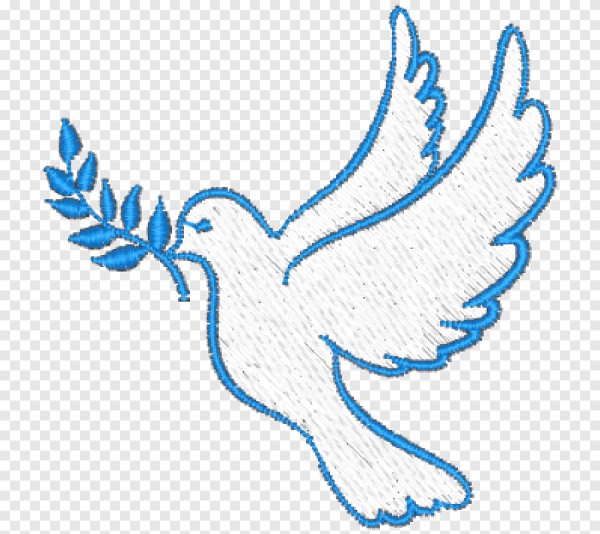 Как нарисовать голубя поэтапно