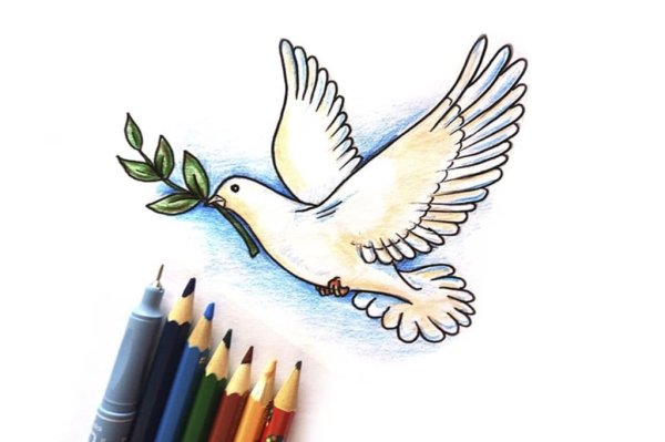 Нарисовать голубя поэтапно