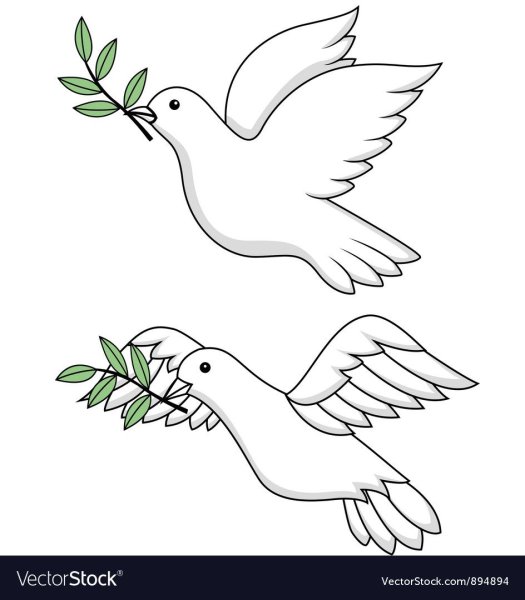 Голубь для рисования