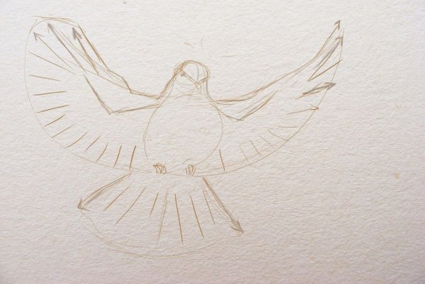 Рисунок на тему голубь мира