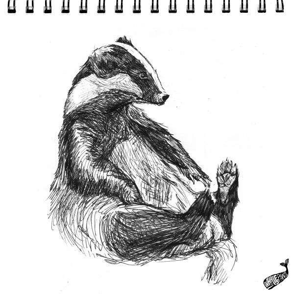 Герой барсук