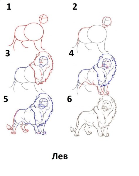 Поэтапный рисунок Льва
