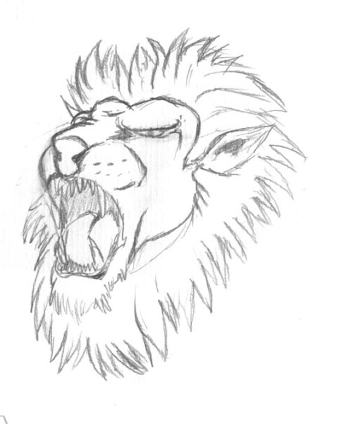 Лев для рисования