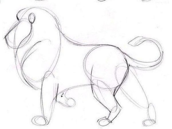 Лев рисование для детей