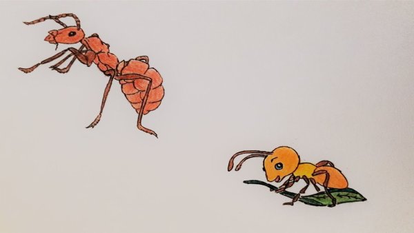 Муравей рисунок для детей карандашом