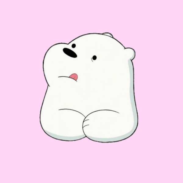 Вся правда о медведях белый и Панда